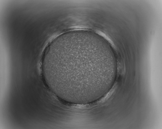 X0000103221357200809181455