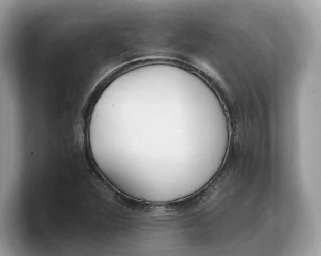 X0000103221360200809181455