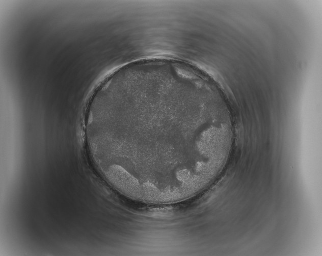 X0000103221363200809181455