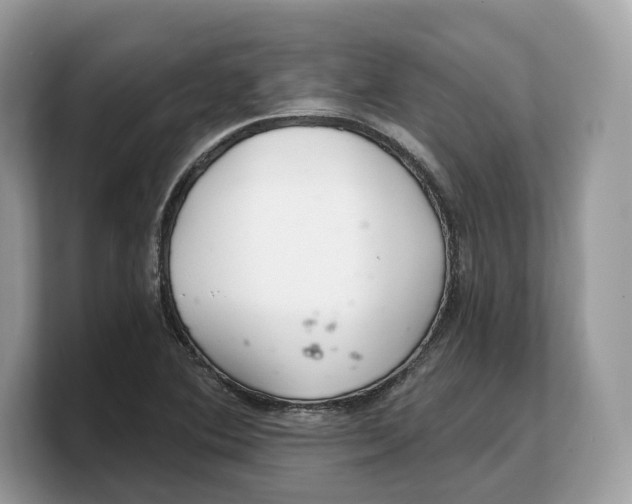 X0000103221364200809181455