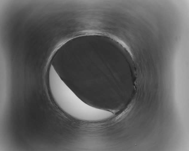 X0000103221365200809181455