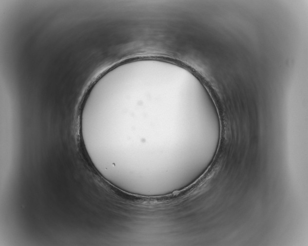 X0000103221366200809181455