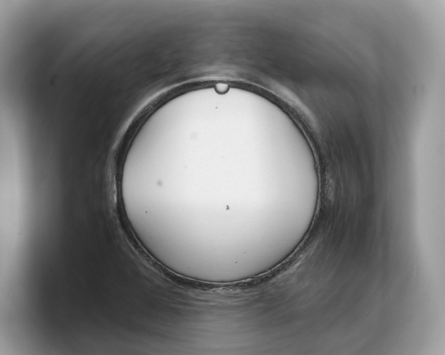 X0000103221368200809181455