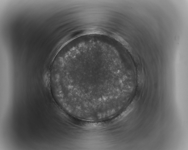 X0000103221369200809181455