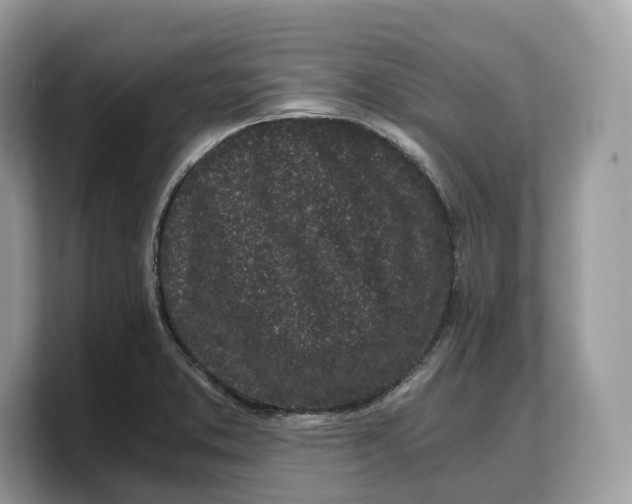 X0000103221373200809181455