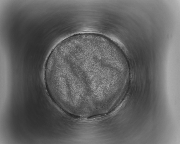 X0000103221374200809181455