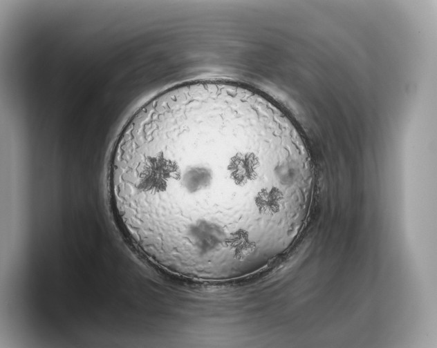 X0000103221375200809181455