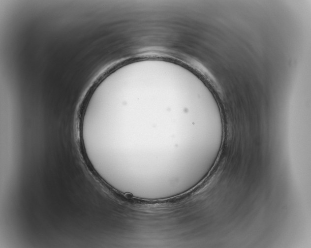 X0000103221376200809181455