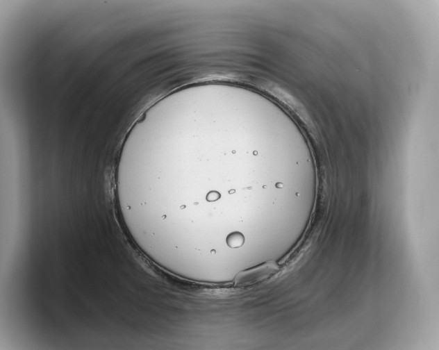 X0000103221377200809181455