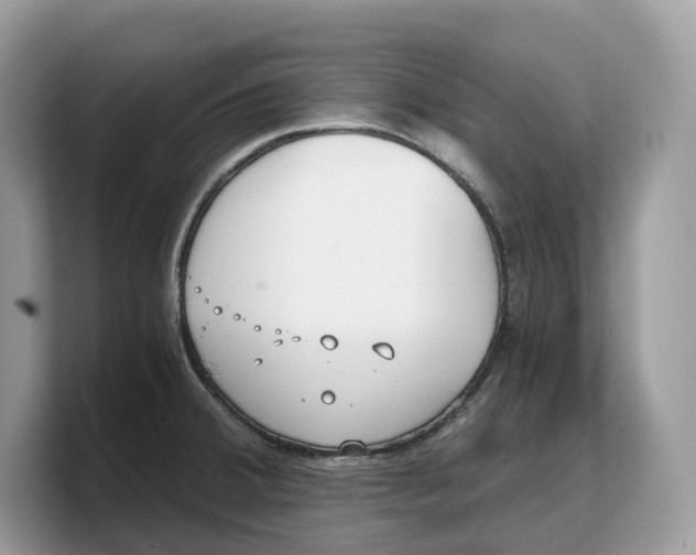 X0000103221380200809181455