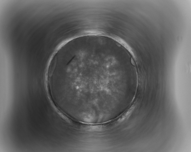 X0000103221381200809181455