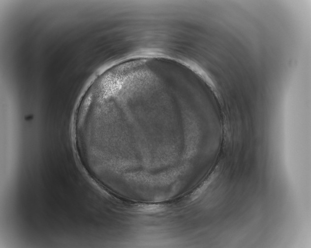 X0000103221382200809181455