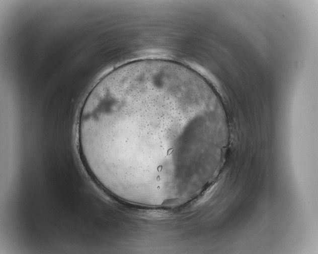 X0000103221383200809181455