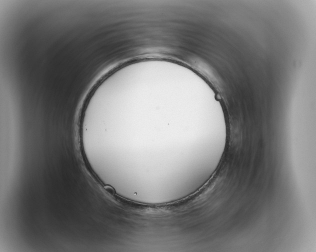 X0000103221384200809181455