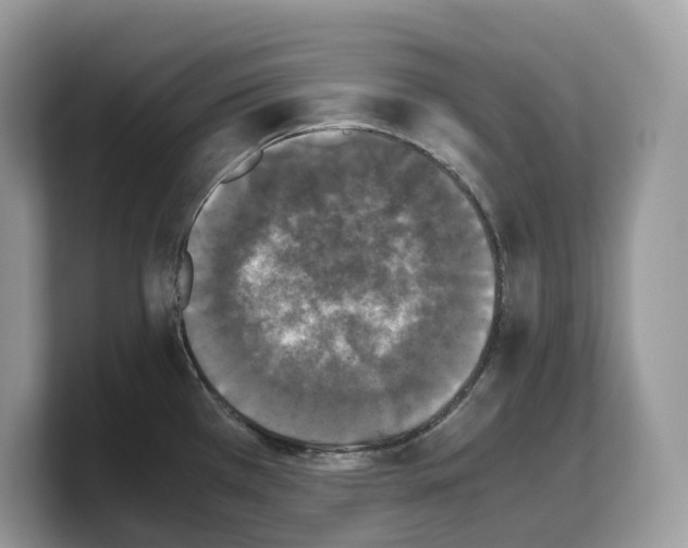 X0000103221385200809181455