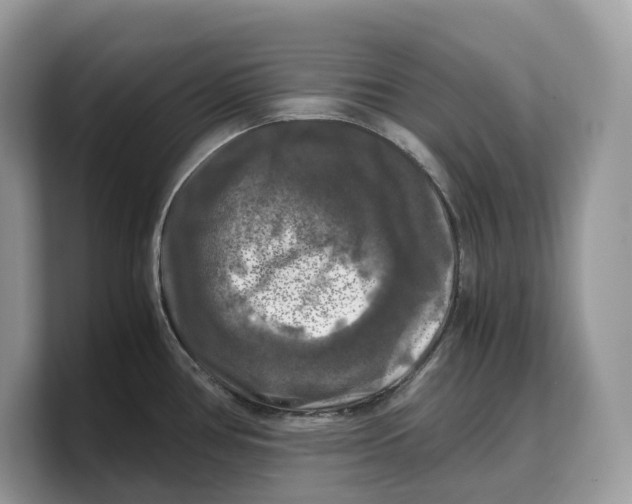 X0000103221386200809181455