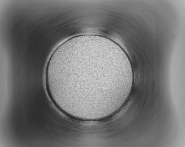 X0000103221387200809181455