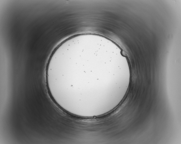 X0000103221388200809181455