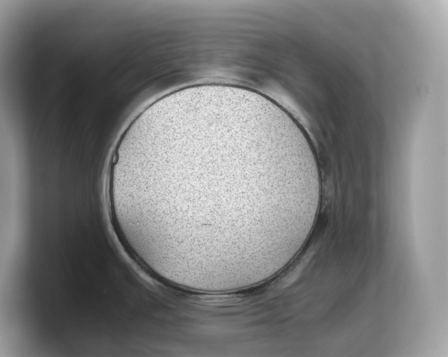 X0000103221391200809181455