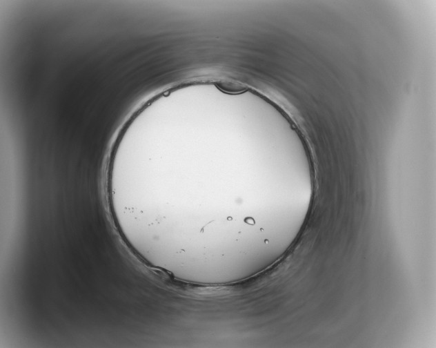 X0000103221392200809181455