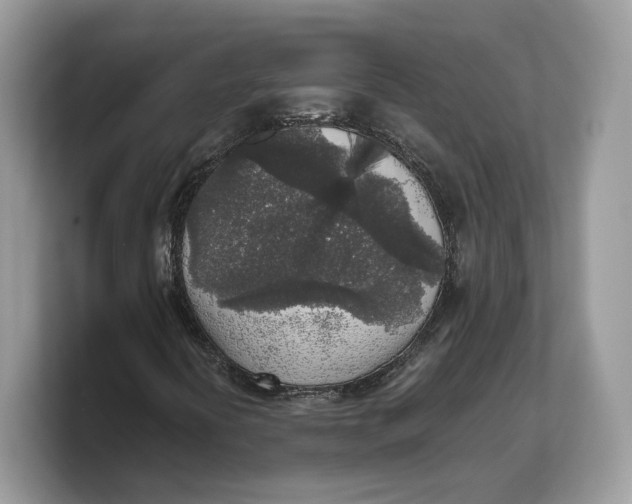 X0000103221394200809181454