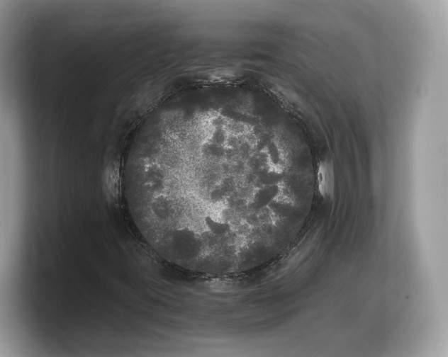 X0000103221395200809181454