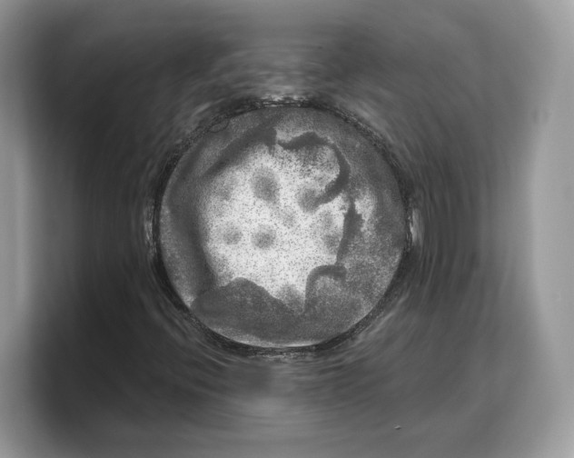 X0000103221396200809181454