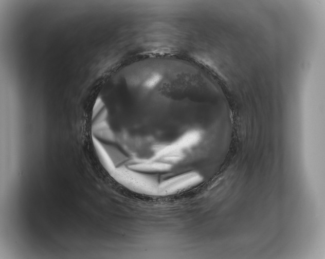 X0000103221399200809181454