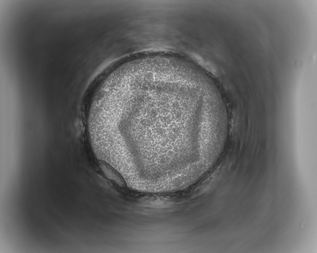 X0000103221400200809181454