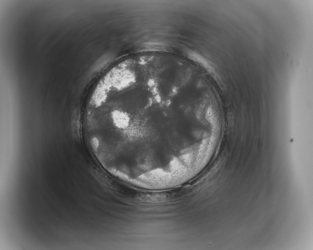 X0000103221403200809181454