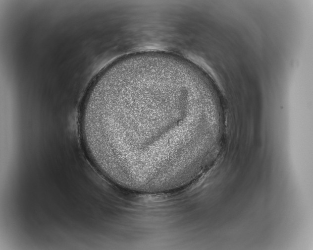 X0000103221404200809181454