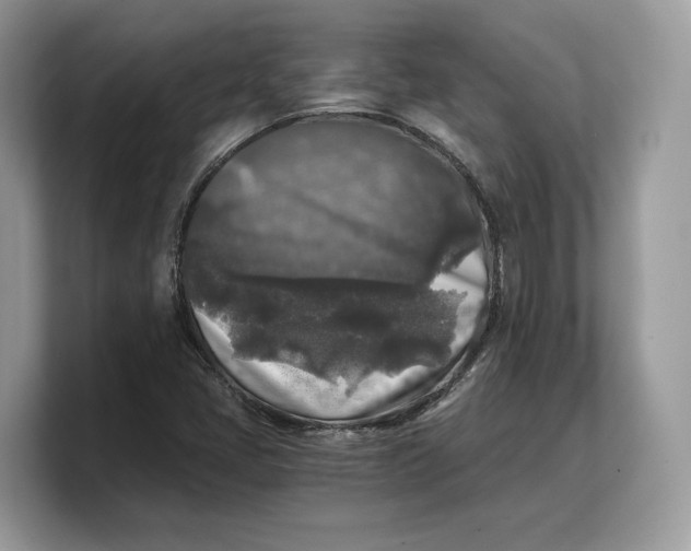 X0000103221405200809181454