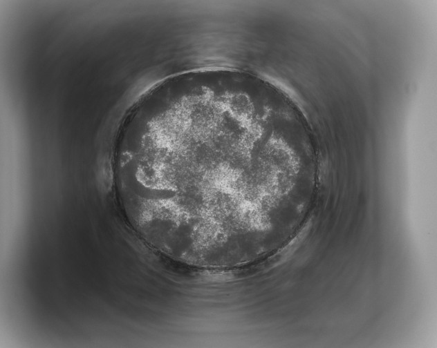 X0000103221407200809181454