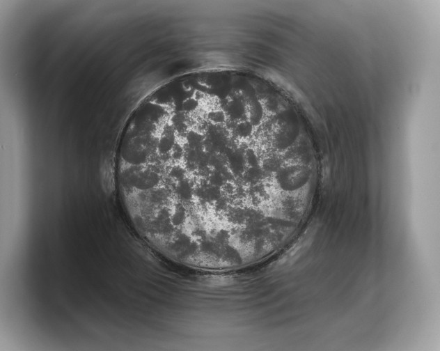 X0000103221409200809181454