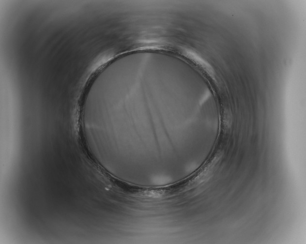 X0000103221411200809181454