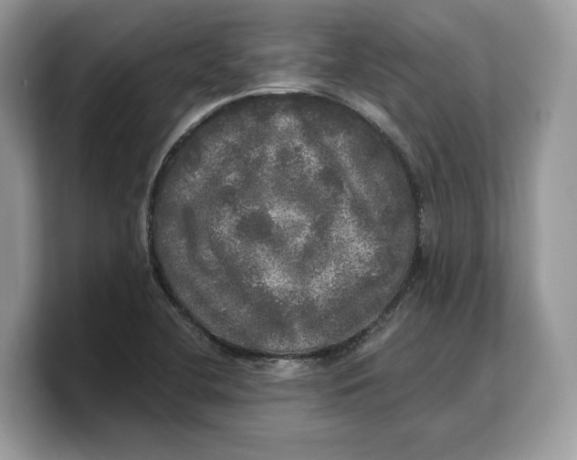 X0000103221412200809181454