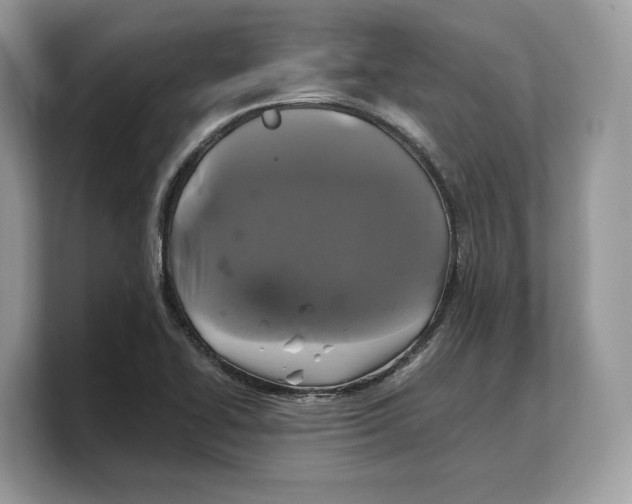 X0000103221414200809181454