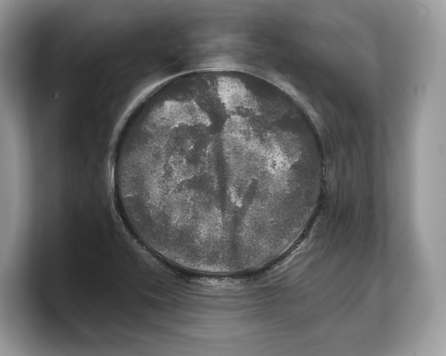 X0000103221416200809181454