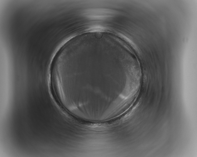 X0000103221418200809181454