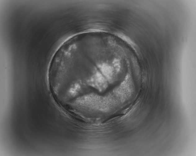 X0000103221423200809181454