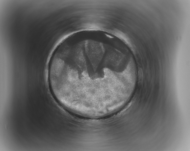 X0000103221424200809181454