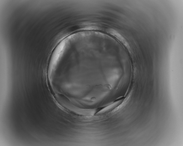 X0000103221425200809181454