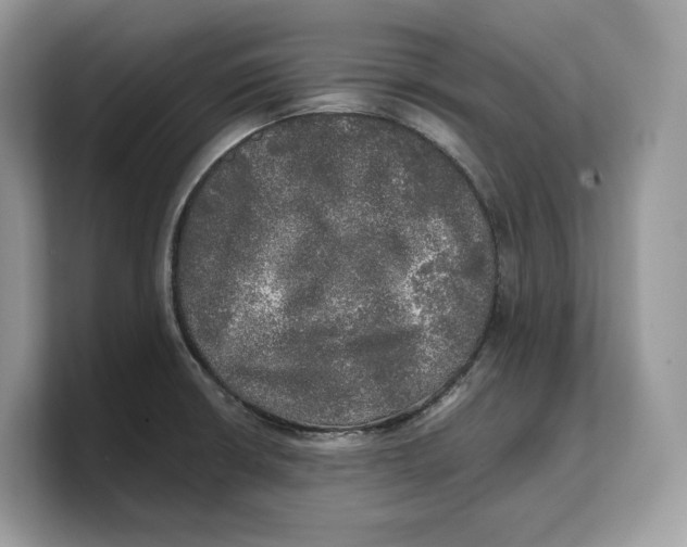 X0000103221426200809181454