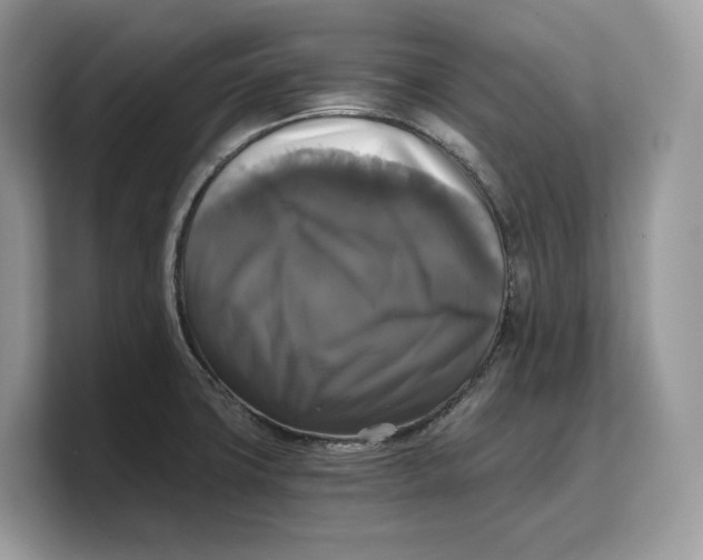 X0000103221427200809181454