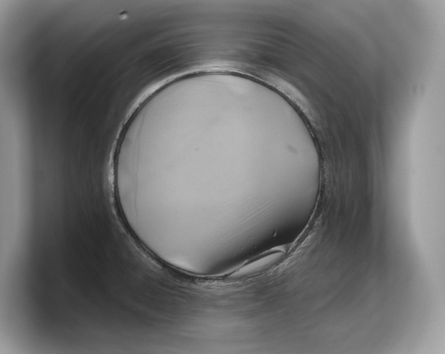 X0000103221428200809181454