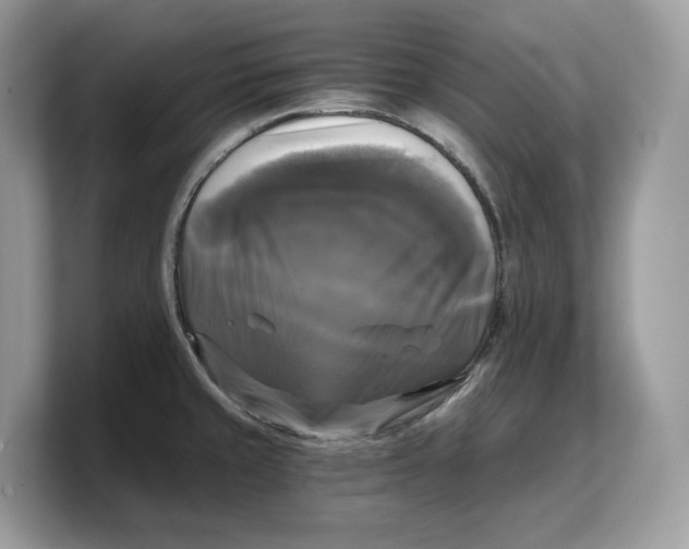 X0000103221429200809181455