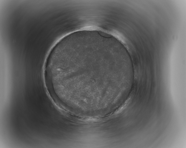 X0000103221430200809181455