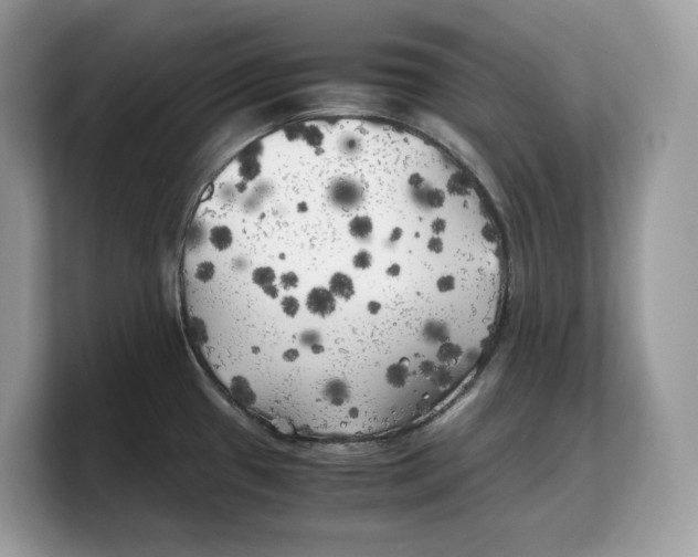 X0000103221433200809181455