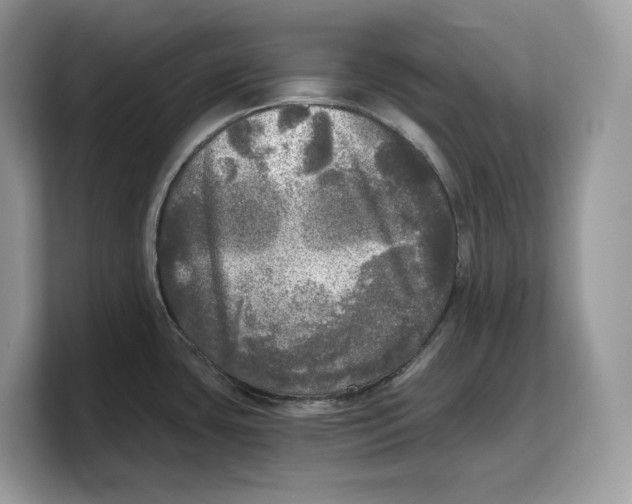 X0000103221435200809181455