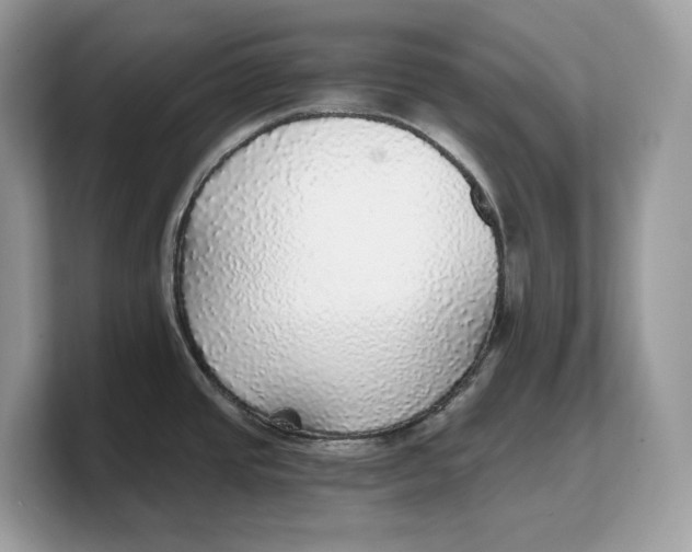 X0000103221437200809181455